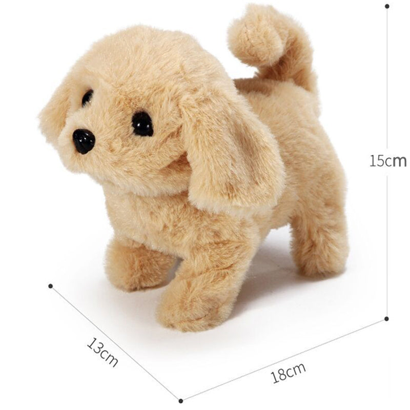 BowLift | Interactive Simulation Toy