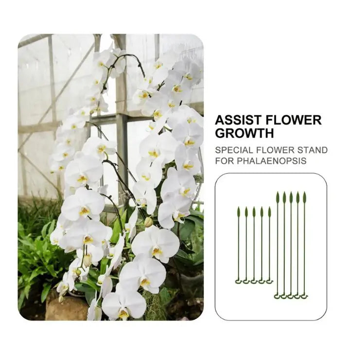 BowLift | Plant support – Stable climbing aid for flowers & vegetables (20 pieces)
