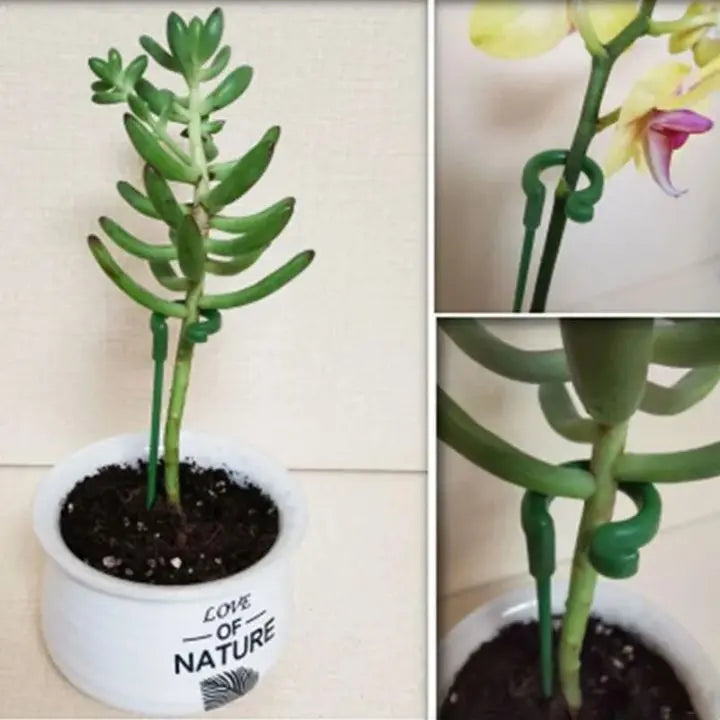 BowLift | Plant support – Stable climbing aid for flowers & vegetables (20 pieces)