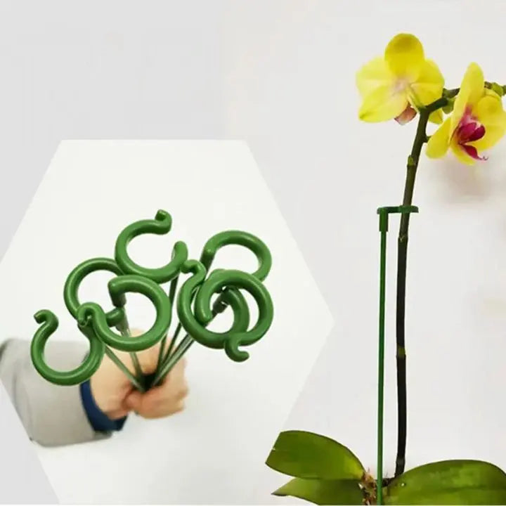 BowLift | Plant support – Stable climbing aid for flowers & vegetables (20 pieces)