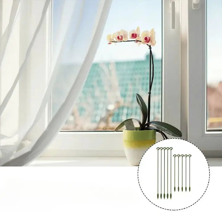 BowLift | Plant support – Stable climbing aid for flowers & vegetables (20 pieces)
