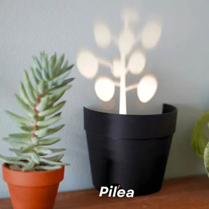BowLift | Plant pot with 7 light projections for wall decor