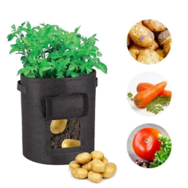 BowLift | Potato Plant Bag