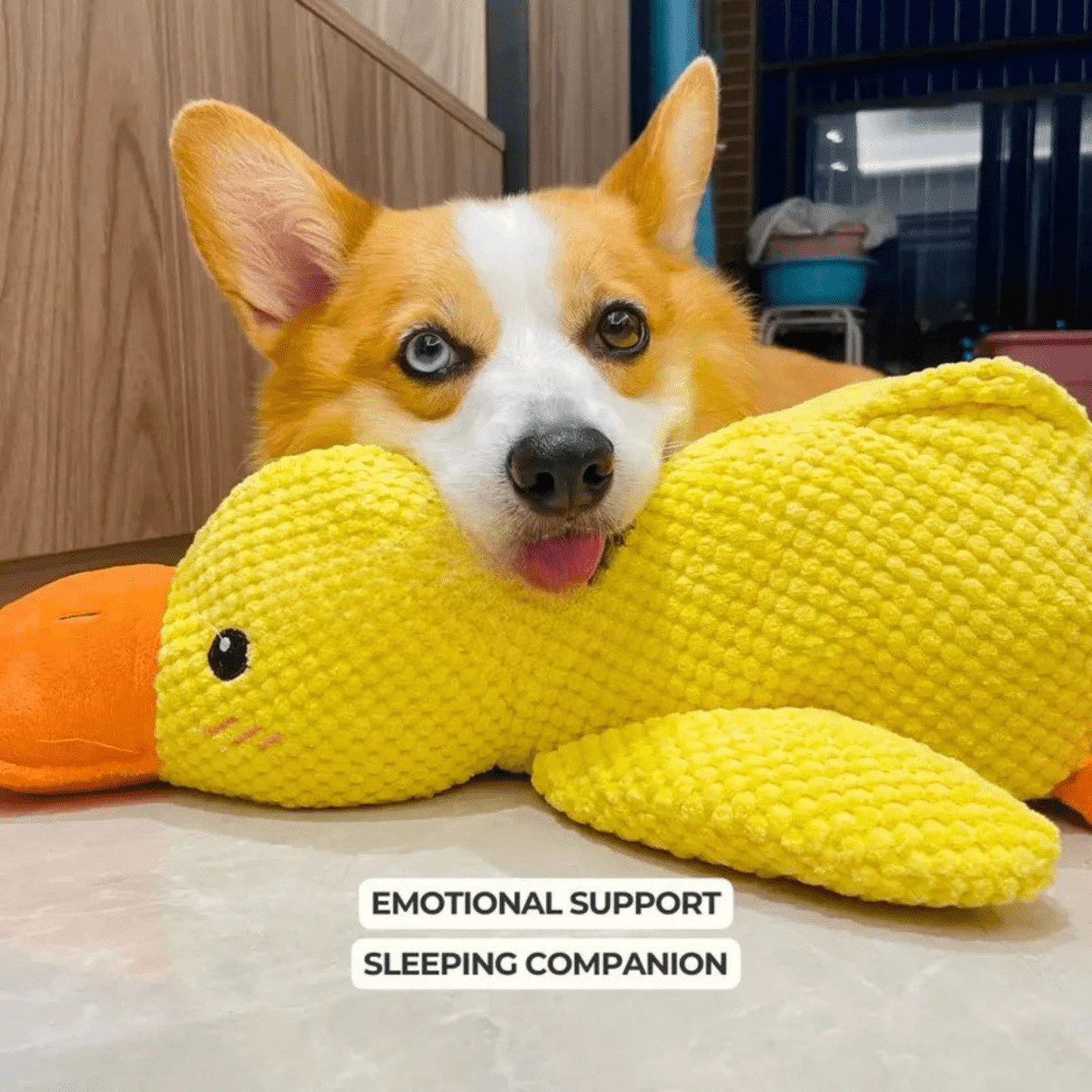 BowLift | SnuggleBeak Plush Toy for Dogs | Soft Squeaky Duck | Durable Cuddly Toy | Comfort Toy | Dog Accessories