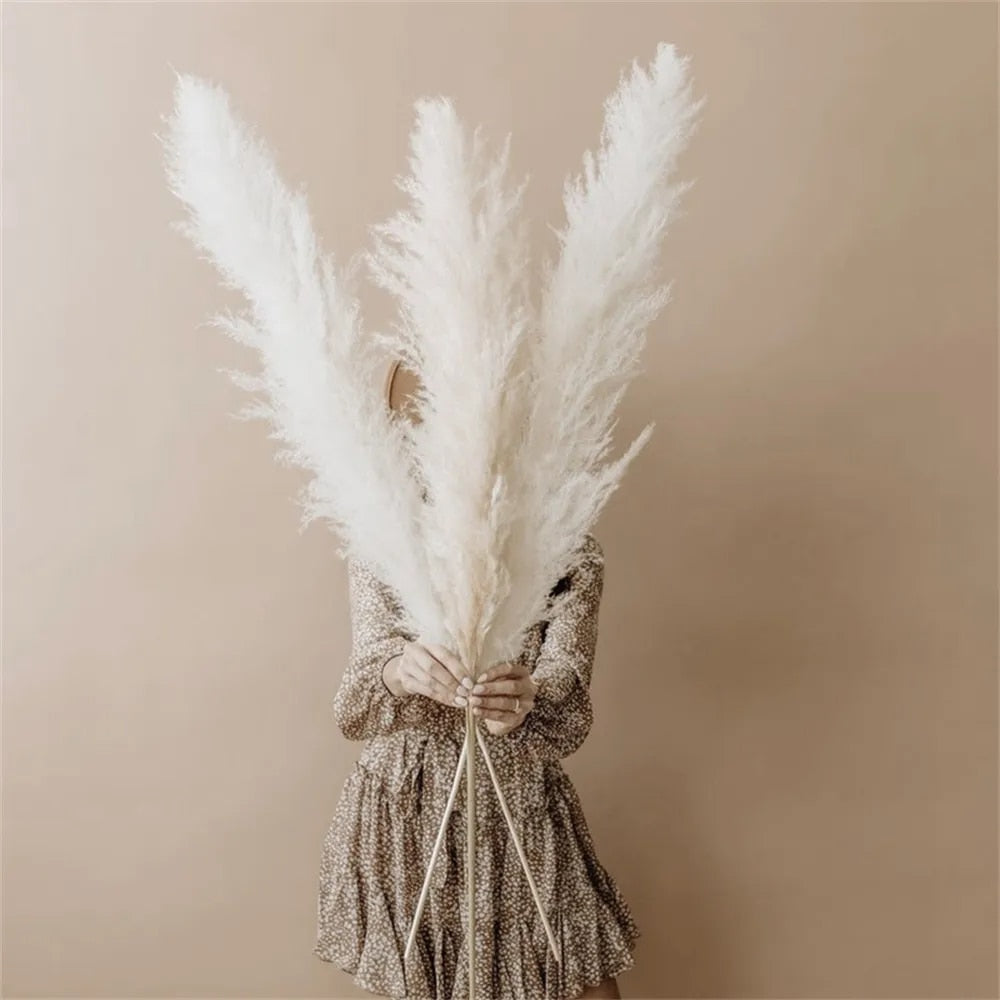 BowLift | FeatherFawn - Dried Pampas Flowers
