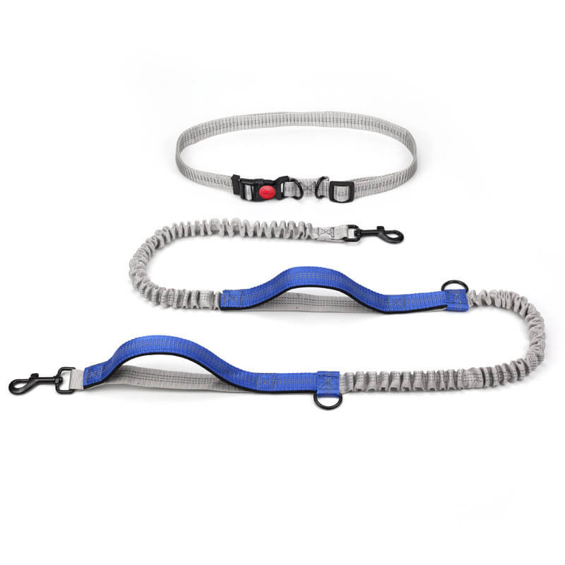 BowLift | Telescopic Double Handle Multifunctional Dog Leash