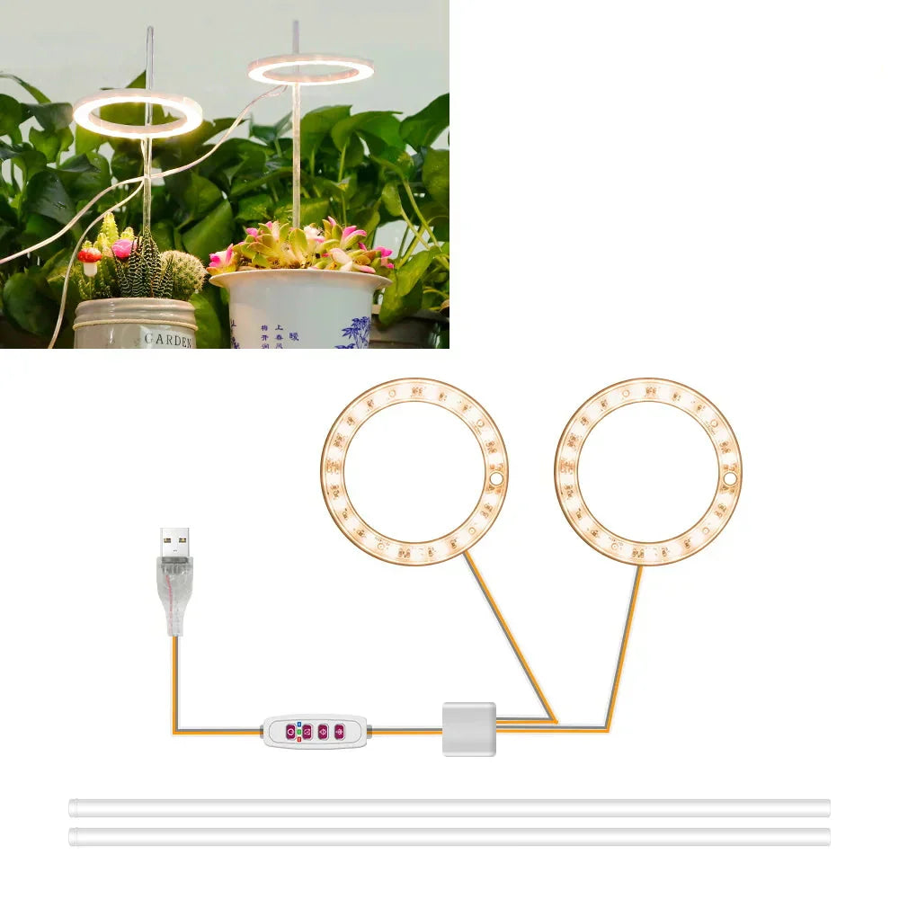 BowLift | Plantuno Ring Plant Light | LED Grow Light with Timer | USB | Dimmable & 3 Light Colors | 1–4 Heads