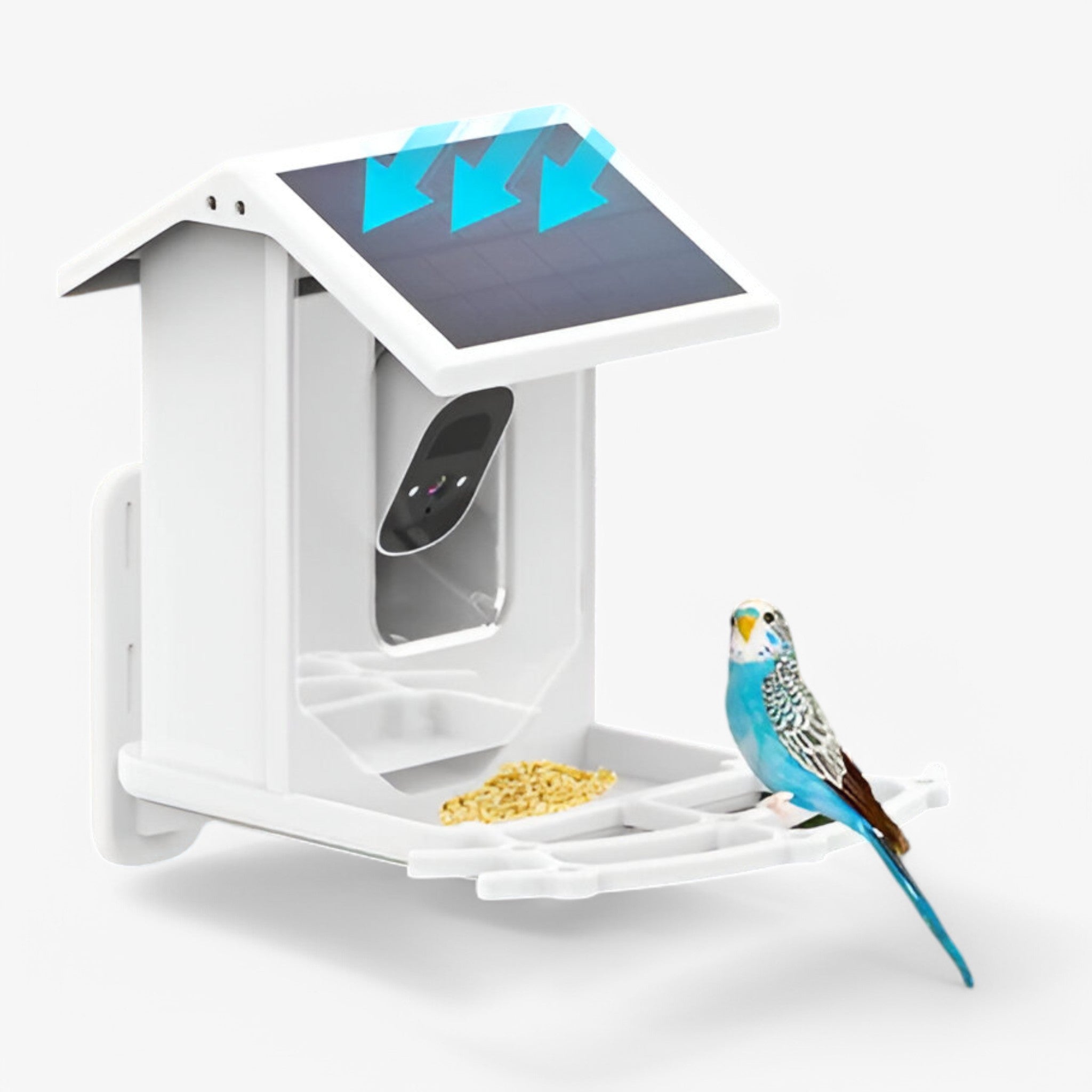 BowLift | Auxco | Smart Bird Feeder with 1080P HD Camera, AI Bird Recognition & Solar Charging