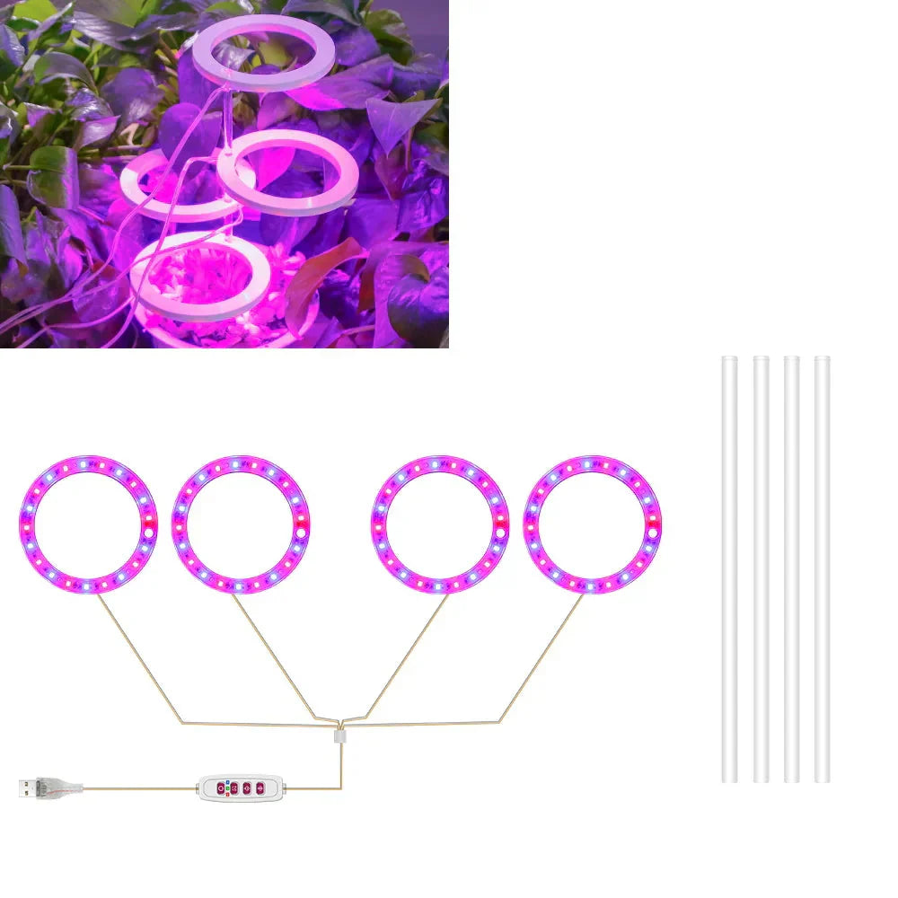 BowLift | Plantuno Ring Plant Light | LED Grow Light with Timer | USB | Dimmable & 3 Light Colors | 1–4 Heads