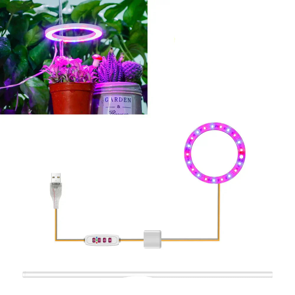 BowLift | Plantuno Ring Plant Light | LED Grow Light with Timer | USB | Dimmable & 3 Light Colors | 1–4 Heads