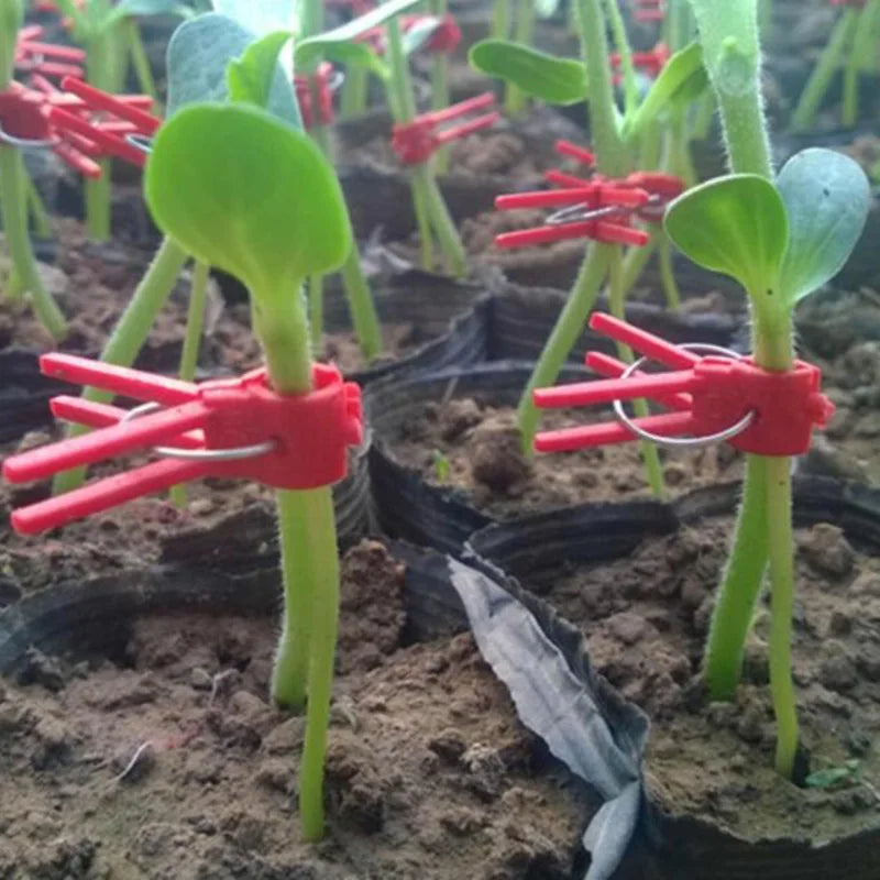 BowLift | PlanturaClip Plant Clips | Stabilize & Fix | Gentle on the Plant | Versatile Use