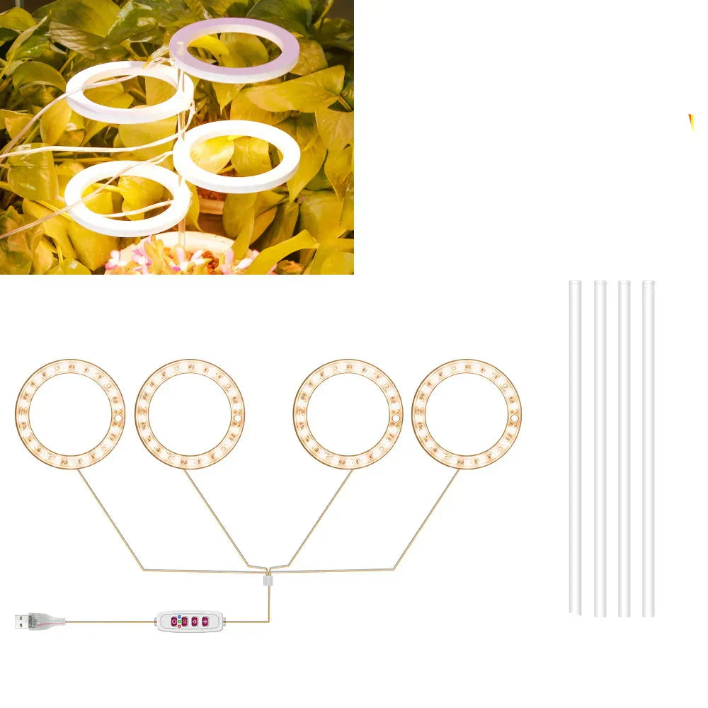 BowLift | Plantuno Ring Plant Light | LED Grow Light with Timer | USB | Dimmable & 3 Light Colors | 1–4 Heads