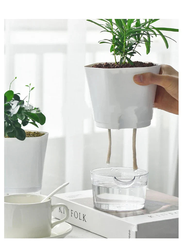 BowLift | Plantilo Self-watering Flower Pot | Transparent | Automatic Water Supply | For Houseplants