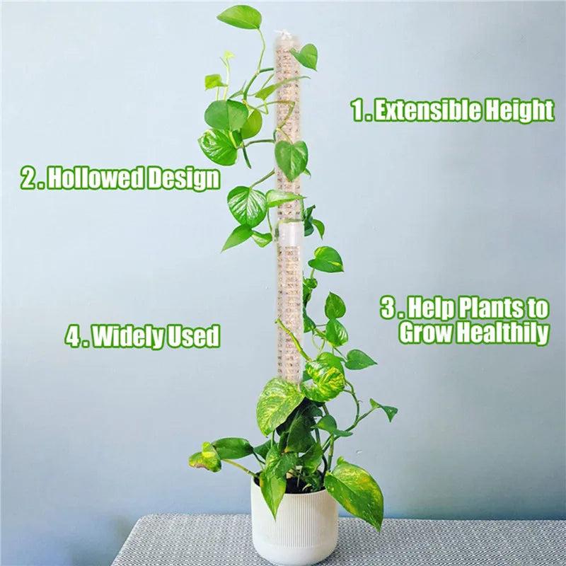 BowLift | Pillar for climbing plants and green plants – Support columns for vertical plant cultivation