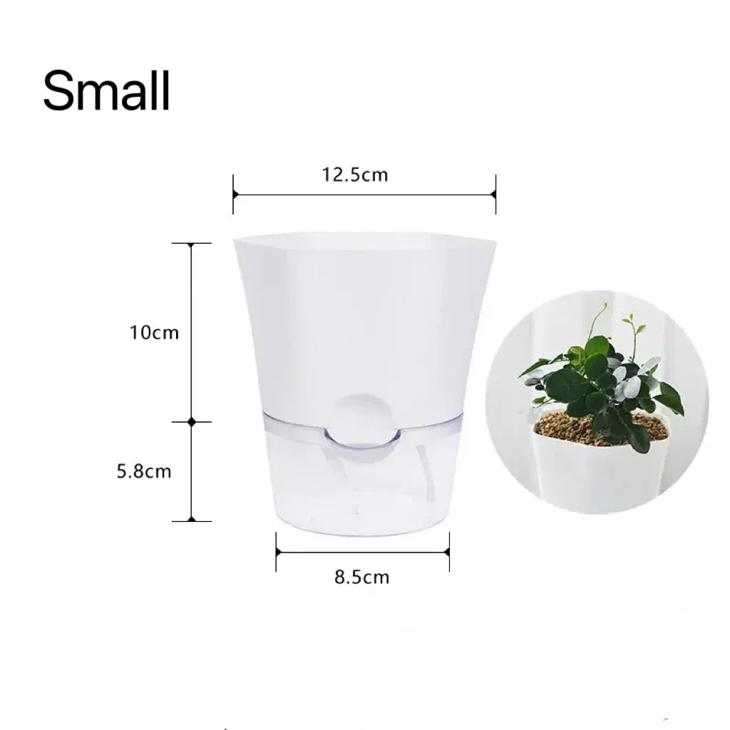 BowLift | Plantilo Self-watering Flower Pot | Transparent | Automatic Water Supply | For Houseplants