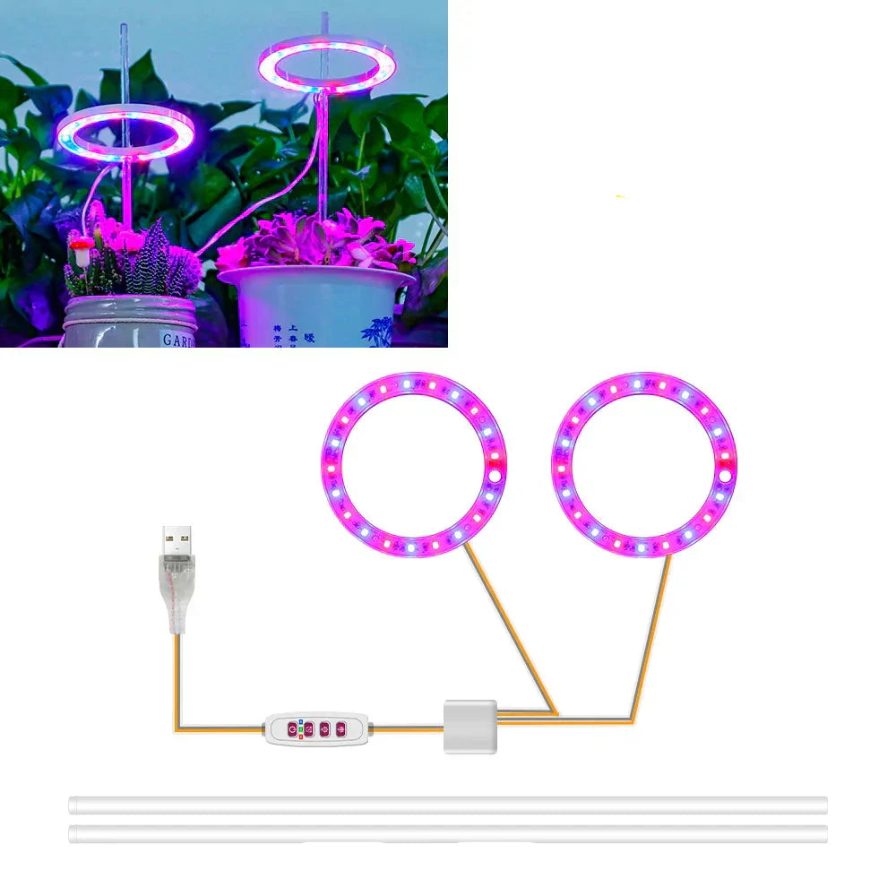 BowLift | Plantuno Ring Plant Light | LED Grow Light with Timer | USB | Dimmable & 3 Light Colors | 1–4 Heads
