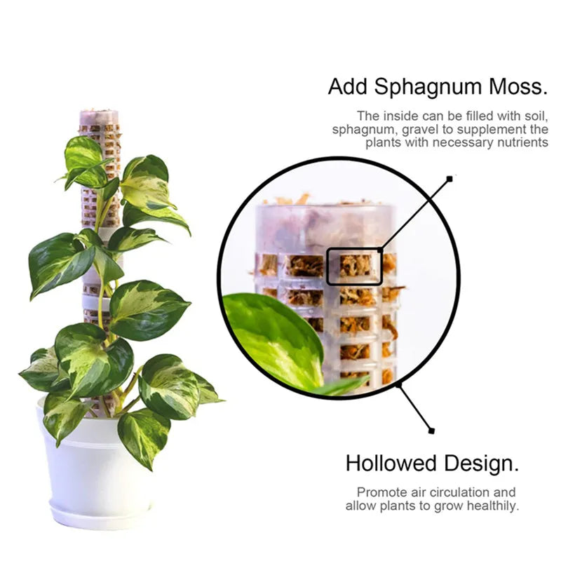 BowLift | Pillar for climbing plants and green plants – Support columns for vertical plant cultivation