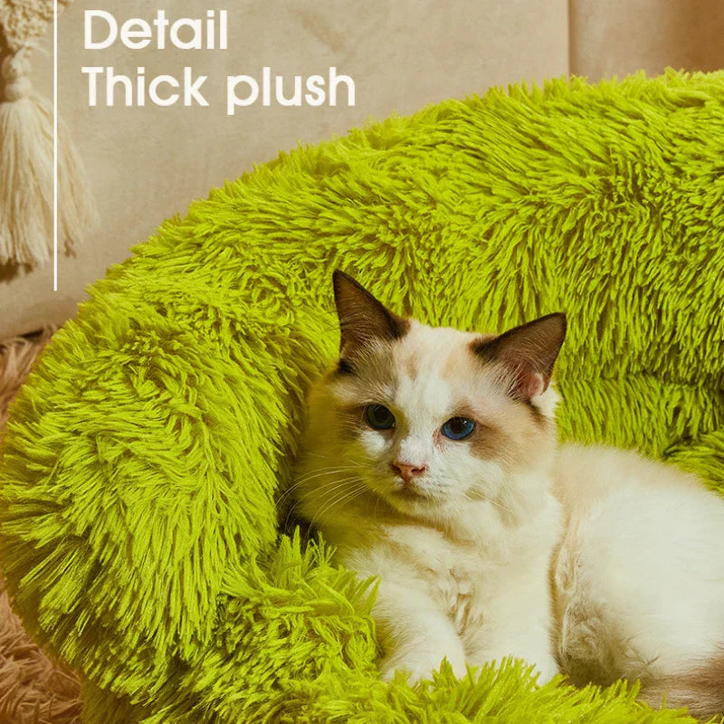 BowLift | Mini Monster Cuddle Pet Bed