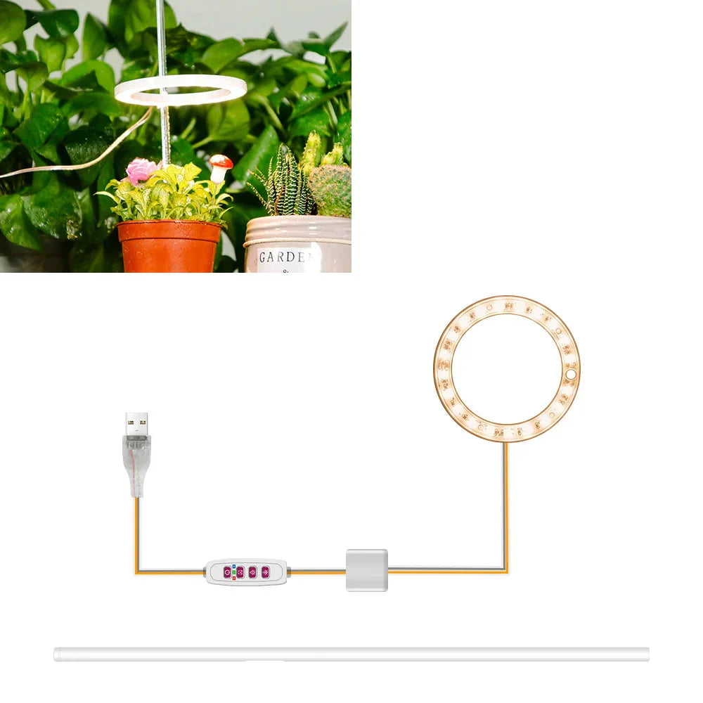 BowLift | Plantuno Ring Plant Light | LED Grow Light with Timer | USB | Dimmable & 3 Light Colors | 1–4 Heads