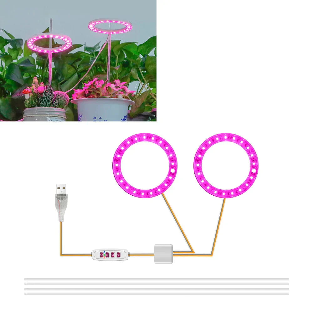 BowLift | Plantuno Ring Plant Light | LED Grow Light with Timer | USB | Dimmable & 3 Light Colors | 1–4 Heads
