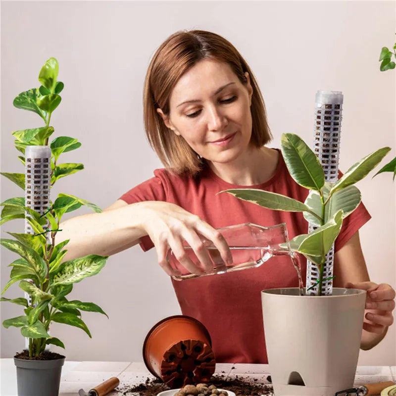 BowLift | Pillar for climbing plants and green plants – Support columns for vertical plant cultivation
