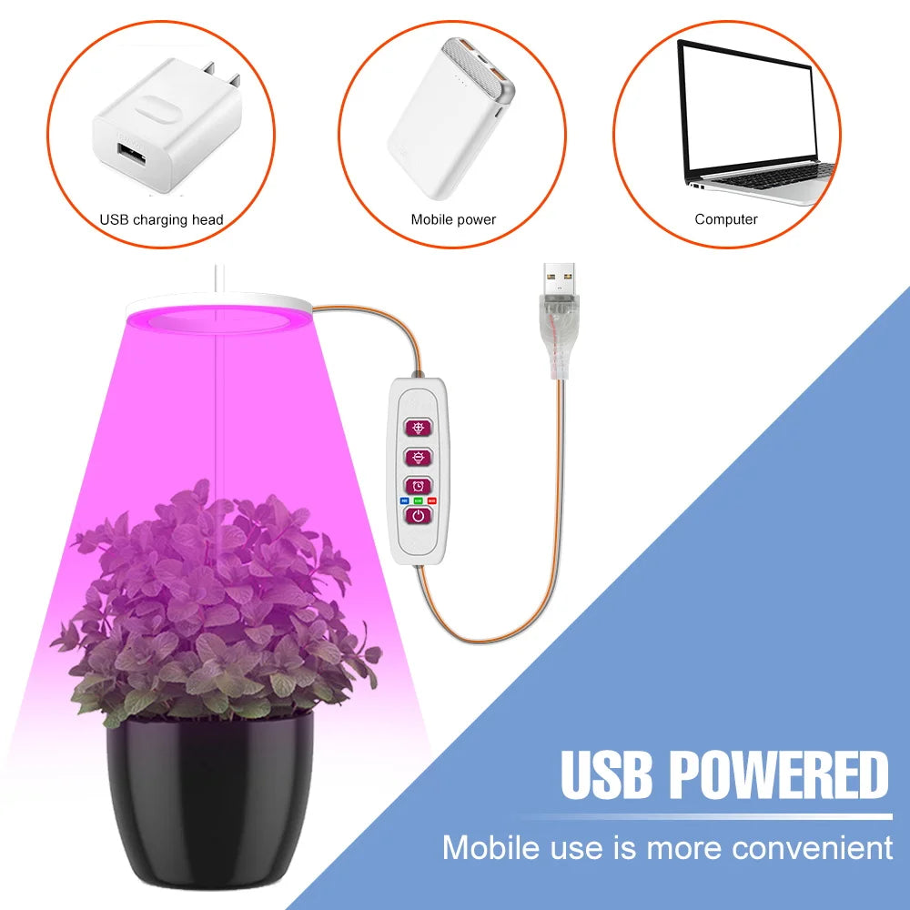 BowLift | Plantuno Ring Plant Light | LED Grow Light with Timer | USB | Dimmable & 3 Light Colors | 1–4 Heads