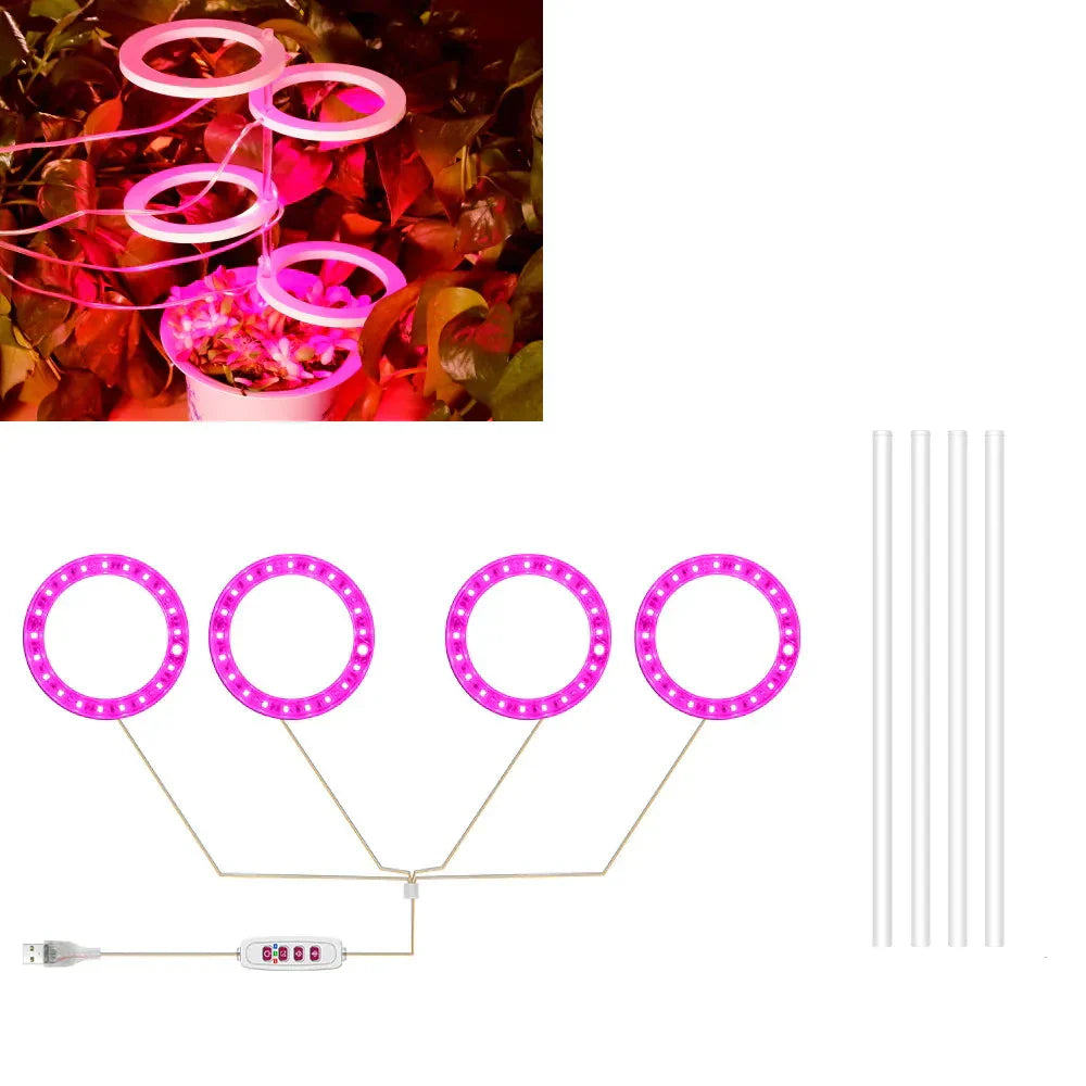 BowLift | Plantuno Ring Plant Light | LED Grow Light with Timer | USB | Dimmable & 3 Light Colors | 1–4 Heads