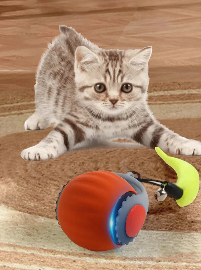 BowLift | Smart Cat Interactive Ball Toy