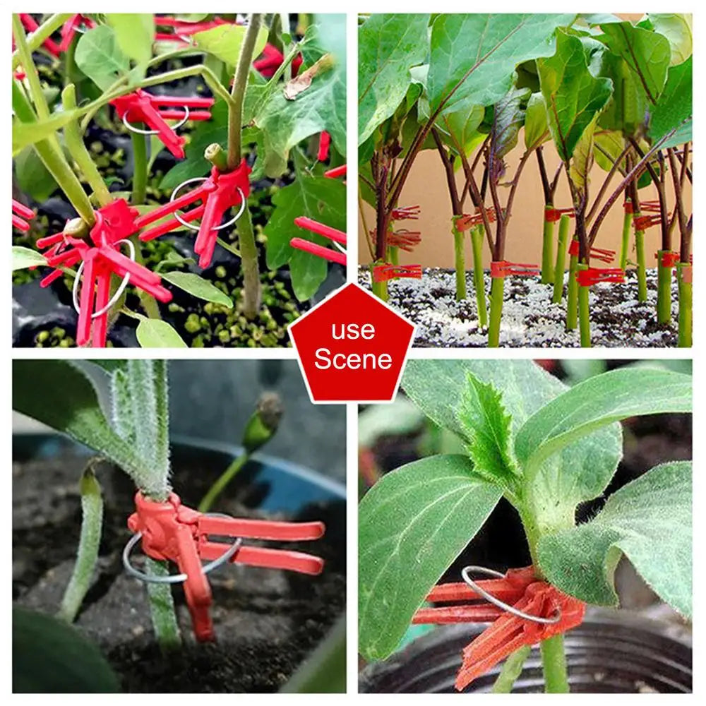BowLift | Plastic Refinement Clips for Garden Plants – Ideal for Vegetables and Plant Care