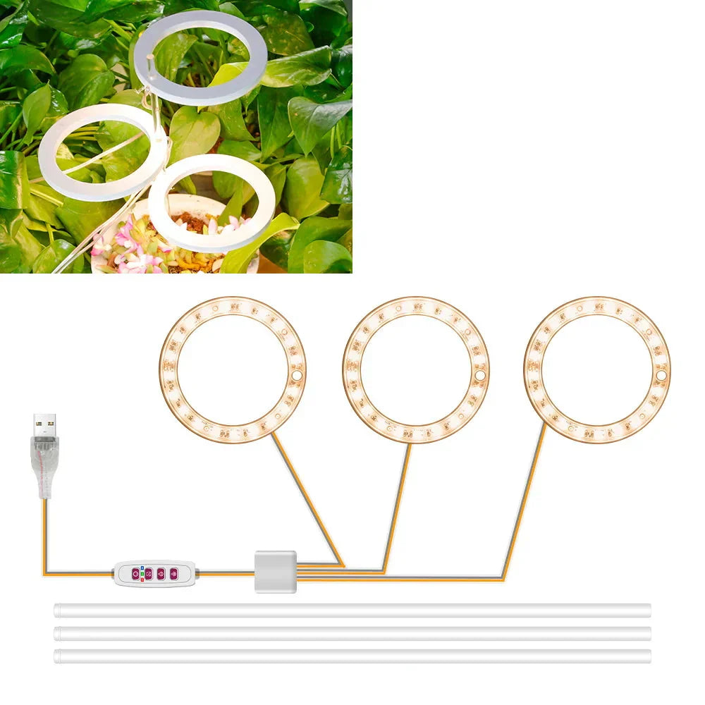 BowLift | Plantuno Ring Plant Light | LED Grow Light with Timer | USB | Dimmable & 3 Light Colors | 1–4 Heads