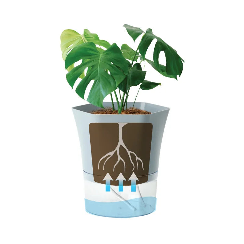 BowLift | Plantilo Self-watering Flower Pot | Transparent | Automatic Water Supply | For Houseplants