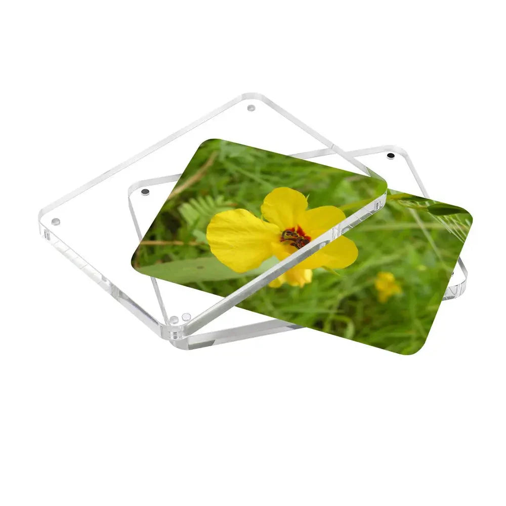 BowLift | Magnetic Acrylic Photo Frame 5 Piece Set