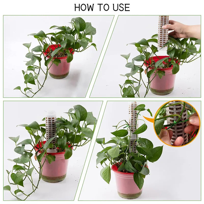 BowLift | Pillar for climbing plants and green plants – Support columns for vertical plant cultivation