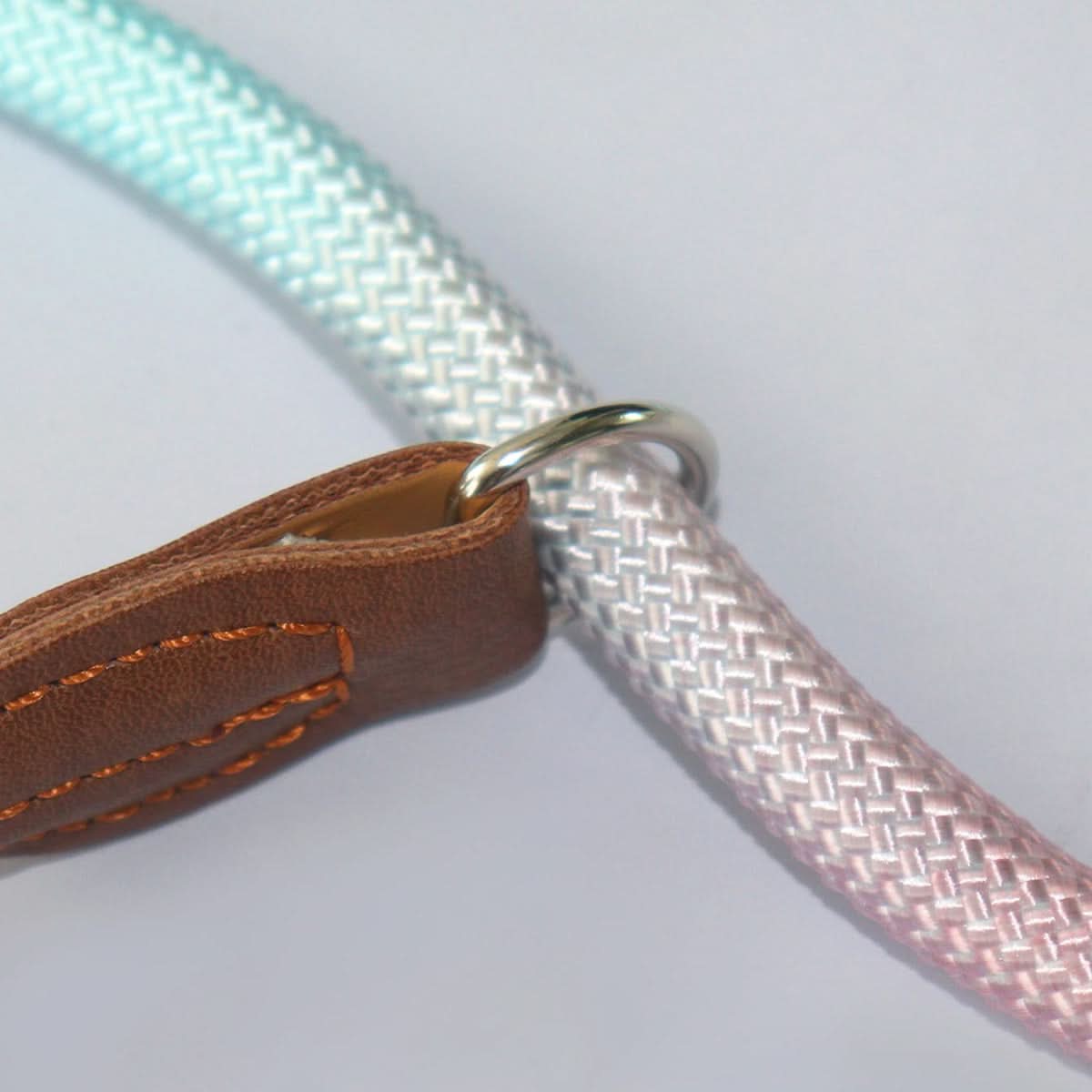 BowLift | Colorful Dog Leash for Stylish Walks