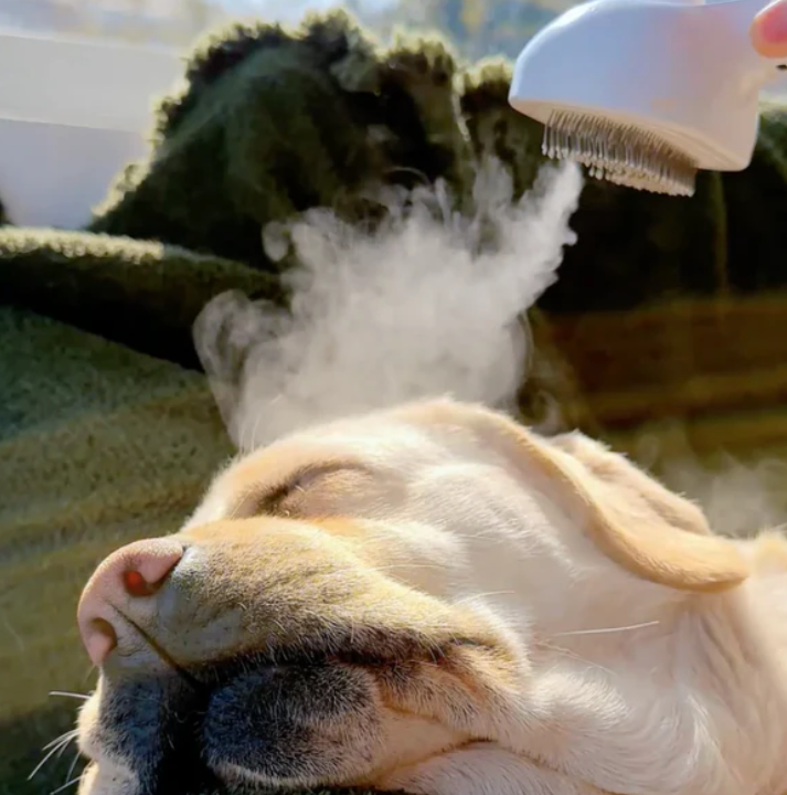 BowLift | PawMist – Mist-Infused Massage Brush for Pets | Gentle Grooming & Cooling Care for Cats and Dogs