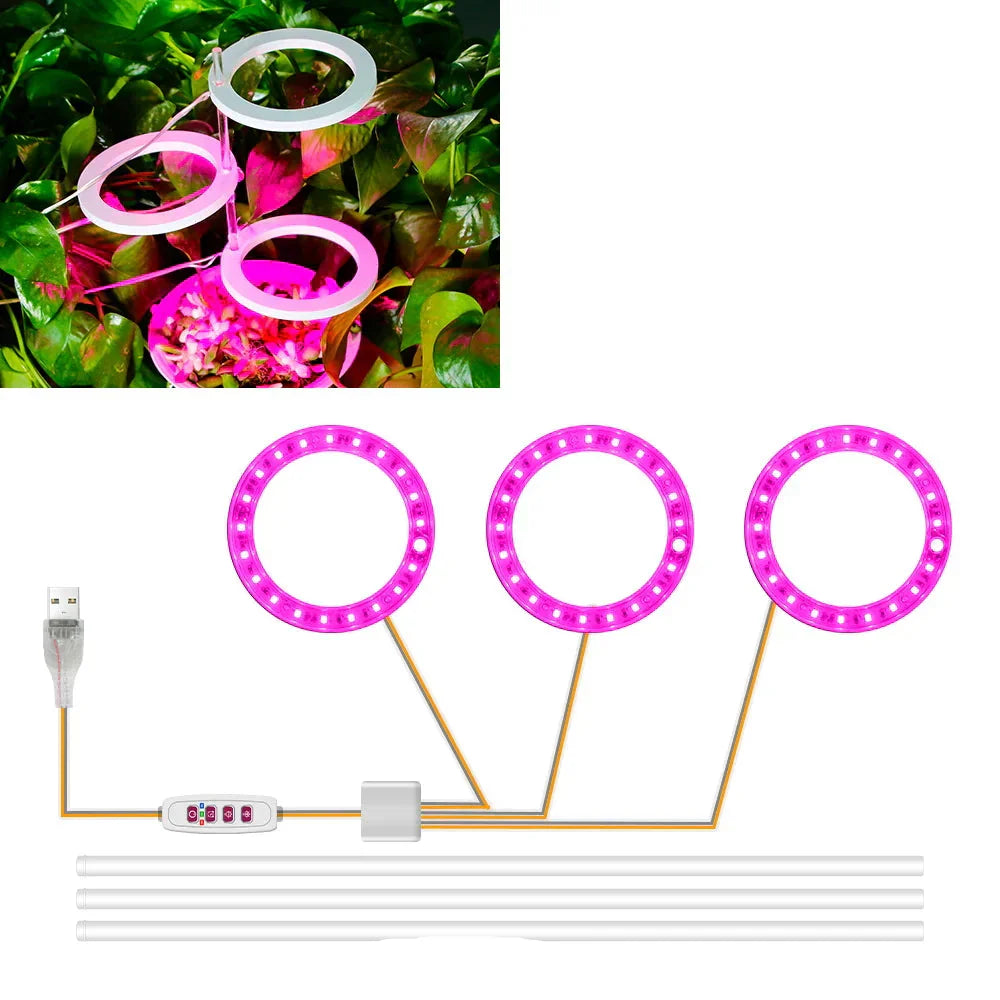 BowLift | Plantuno Ring Plant Light | LED Grow Light with Timer | USB | Dimmable & 3 Light Colors | 1–4 Heads