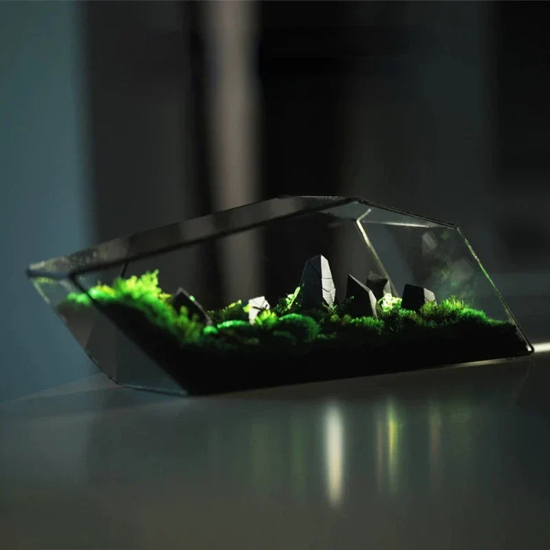 BowLift | Geometric Glass Moss Planter Terrarium Vase