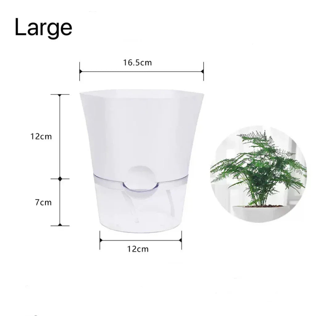 BowLift | Plantilo Self-watering Flower Pot | Transparent | Automatic Water Supply | For Houseplants