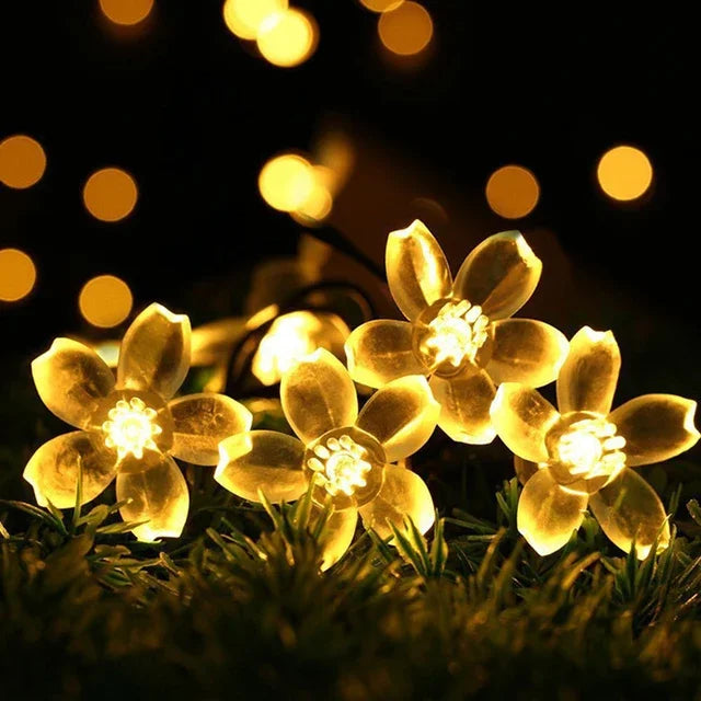 BowLift | Peach Blossom Fairy Lights