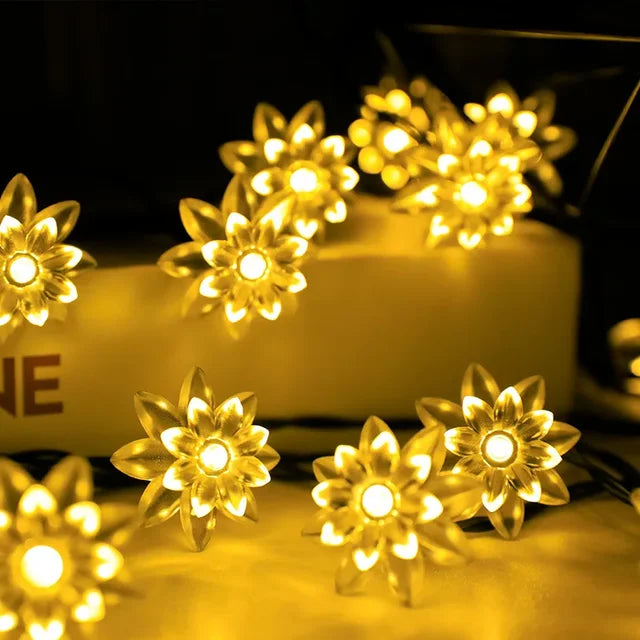 BowLift | Peach Blossom Fairy Lights