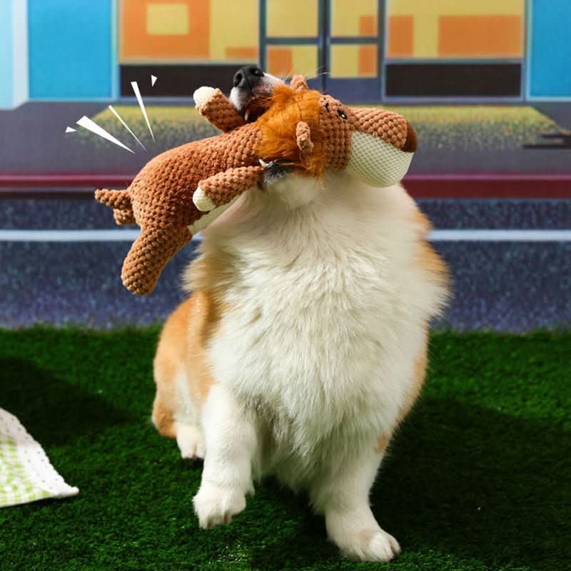 BowLift | Indestructible chew toy for small & large dogs