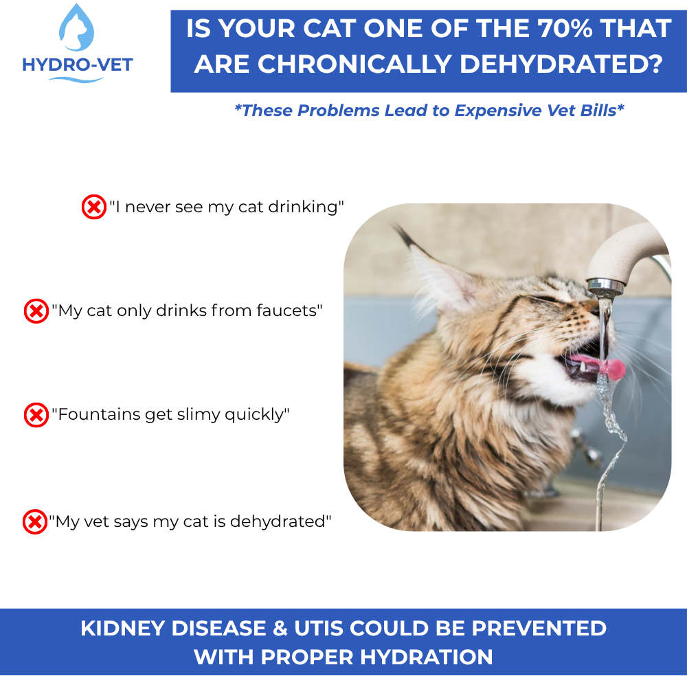 BowLift | AquaSoft Whisper Quiet Drinking Fountain for Pets – 3.2L with LED, Stainless Steel & 5-Stage Filtration