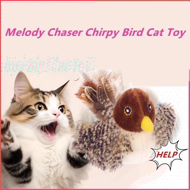 BowLift | Interactive Chirping Bird Cat Toy