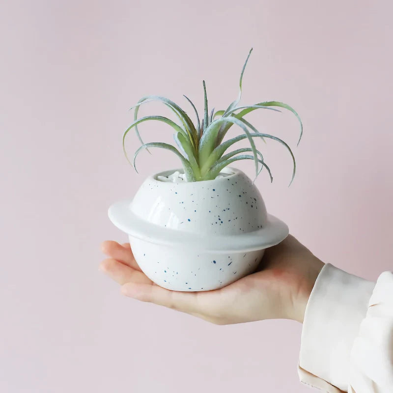 BowLift | Mini Planet Shape Ceramic Succulent Flower Pot