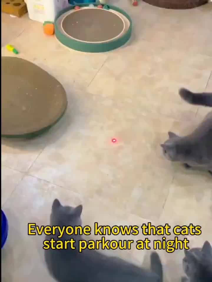 BowLift | Cat Laser Toy Rechargeable Interactive Pet Teaser