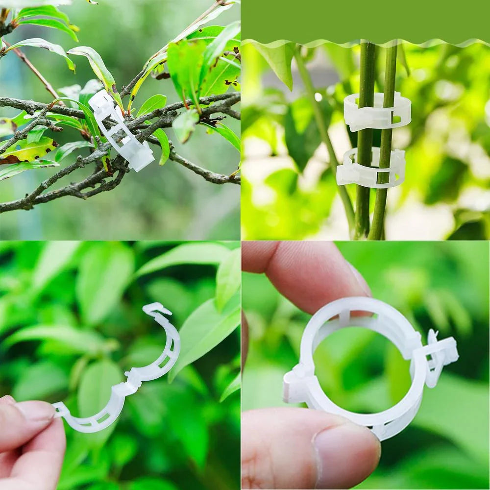 BowLift | Plant support clip for climbing plants – Flexible holder for plant stems