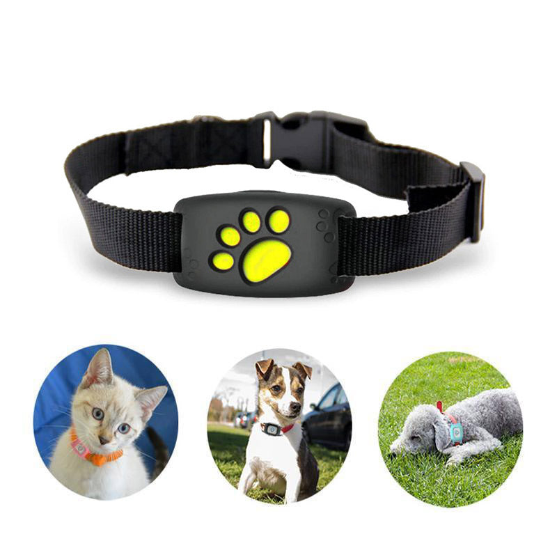 BowLift | Sleek GPS Cat Collar