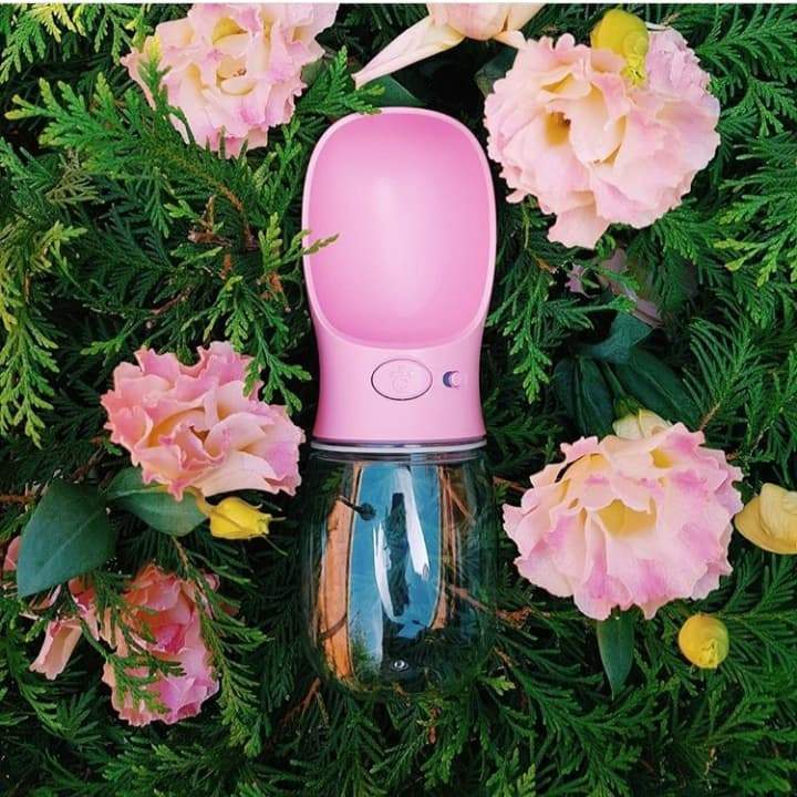 BowLift | Spillproof Pet Water Bottle