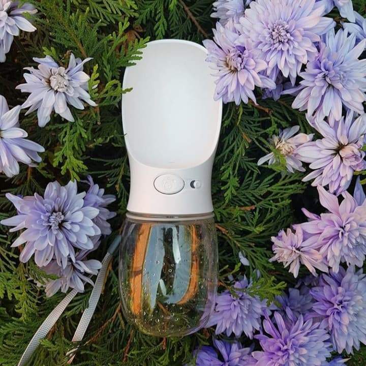 BowLift | Spillproof Pet Water Bottle