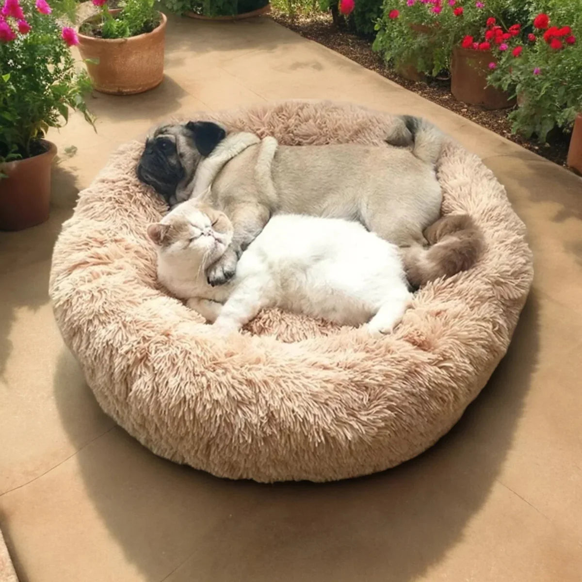 BowLift | SLUMBERPAWS BED – Calming Dog Bed for Deep, Restful Sleep